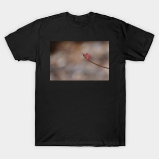 Spring leaves T-Shirt